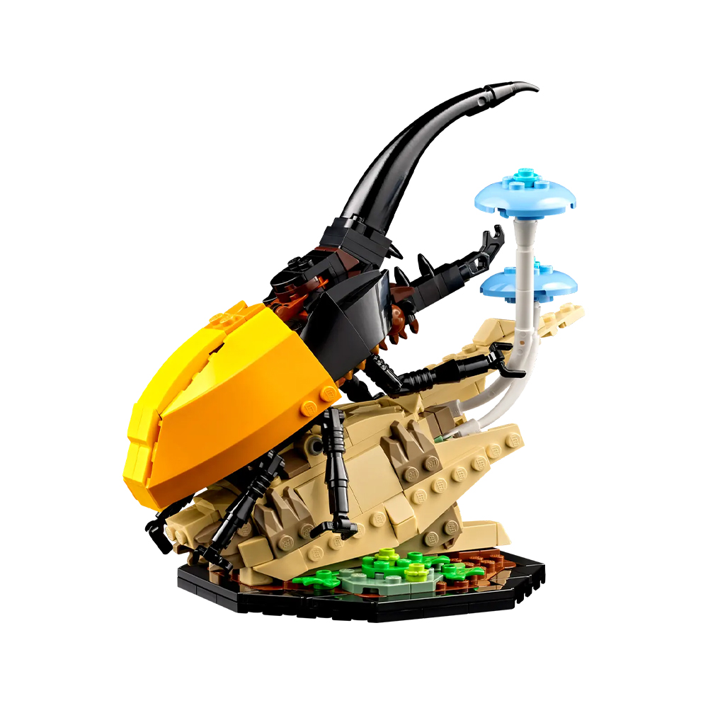 21342